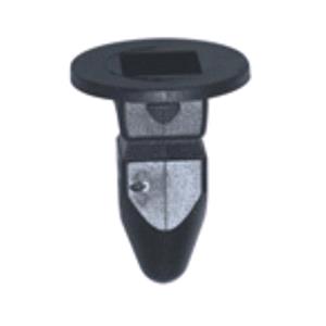 Body, Restagraf Body, Restagraf