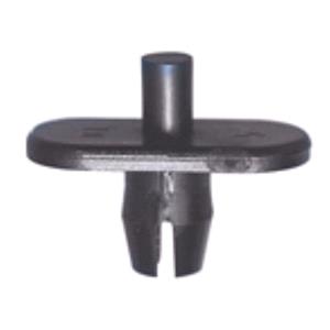 Body, Restagraf Body, Restagraf