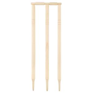PowerPlay Garden Cricket Set
