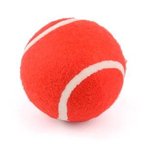 PowerPlay Garden Cricket Set