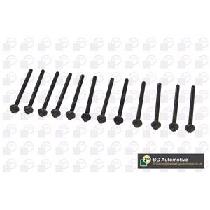 Bolt Kit, Cylinder Head, BGA Cylinder Head Bolt Kit   BK4305, BGA