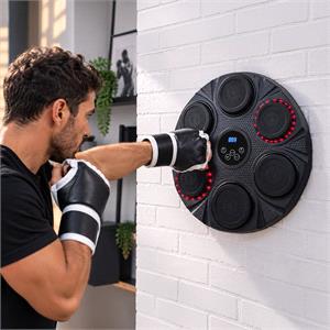 Gifts, Light Up Musical Boxing Pad, The Source