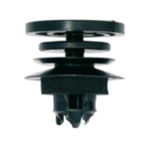 Body, Restagraf Body, Restagraf