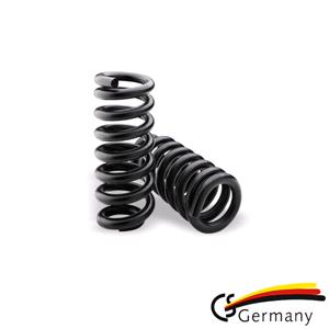 CS Germany Coil Springs