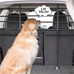 Securing Your Pets   It's The Law!