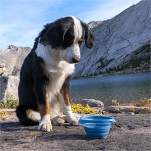 Kurgo Collaps-A-Bowl - 24oz Travel Pet Feed Bowl - Collapsible