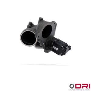 DRI EGR Valves