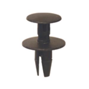 Body, Restagraf Body, Restagraf