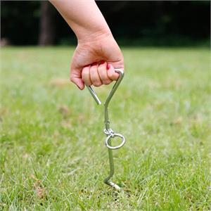 Dog Anchor with Tether
