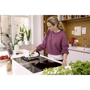 Karcher WV2 Plus Window Vac