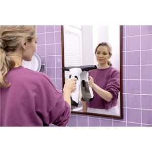 Karcher WV2 Plus Window Vac