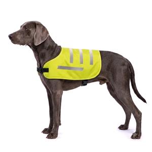 Dog and Pet Travel Accessories, SAFETY VEST FOR DOGS SIZE "L", Lampa
