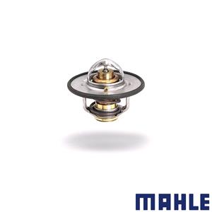 Mahle Thermostats