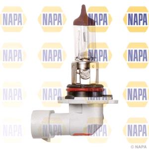 Bulbs   by Bulb Type, Napa 12V 60W HB3 P20d Headlamp Bulb   Single, NAPA