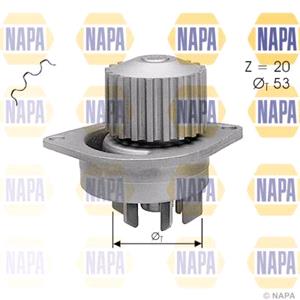 Water Pumps, NAPA Water Pump   NWP1131, NAPA