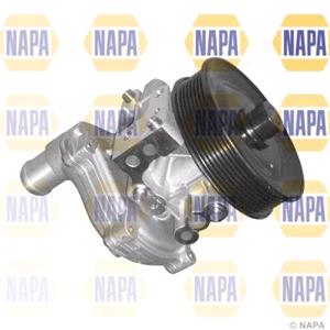 Water Pumps, NAPA Water Pump   NWP1198, NAPA