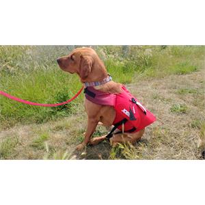 JOBE Pet Life Vest - Red - Size XS