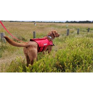 JOBE Pet Life Vest - Red - Size XS