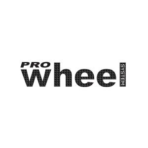 Primer, Prowheel Wheel Basecoat Ferric Grey - 200ml, Prowheel