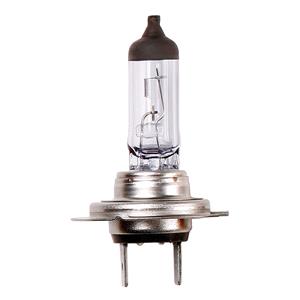 Bulbs   by Bulb Type, 24V 70W H7 Px26S Headlamp Halogen, Ring
