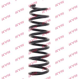 Coil Springs, KYB Rear Coil Spring (Single Unit)   RA6125, KYB