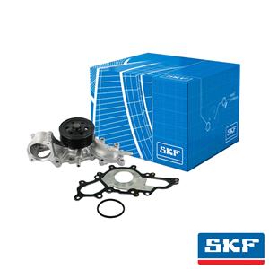 SKF Water Pumps