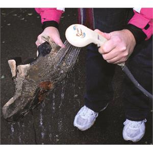 12v Portable Shower