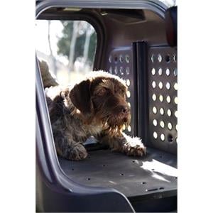 TowBox V2 Dog Cargo Box - Grey