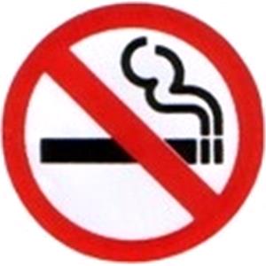 Signs and Stickers, Castle Promotions Indoor Vinyl Sticker   No Smoking Circle, CASTLE PROMOTIONS