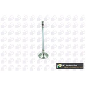 Inlet Valve, BGA Inlet Valve   V200074 (V200074), BGA