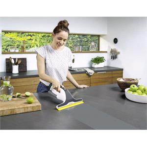 Karcher WV6 Plus N Window Vac 