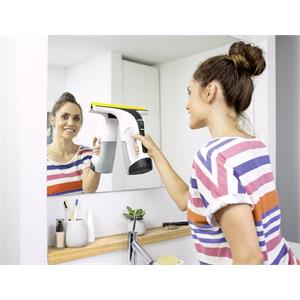 Karcher WV6 Plus N Window Vac 
