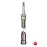 NGK Spark Plug (single)   0005