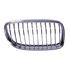 BMW 3 Series E91 2009 2011 RH Grille, Chrome, With Chrome Moulding, TUV Approved