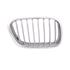 Bmw X5 Series E53 2000 2003 Grille R.H. (Drivers Side), Titanium