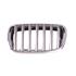 BMW X5 2007 2013 LH (Passengers Side) Front Bumper Grille, With Chrome Frame, With Matt Silver Vanes