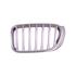 BMW X3, F25, 2014 2017 LH (Passengers Side) Front Bumper Grille, Painted Silver, With Chrome Frame, X Line Models