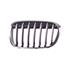 BMW X1, F48, 2015 2019 LH (Passenger Side) Front Bumper Grille, Painted Silver, With Chrome Frame