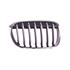 BMW X1, F48, 2015 2019 RH (Drivers Side) Front Bumper Grille, Painted Silver, With Chrome Frame
