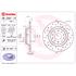 Brembo Xtra Rear Axle Brake Discs (Pair)   Diameter: 300mm   08.C501.1X