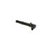 Bosch Ignition Coil   098622A204