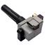 Meat & Doria Ignition Coil   10678