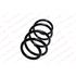 KILEN Front Coil Spring (Single unit)   12179