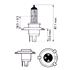 Headlight Dipped Beam Bulb ( Pack) for Subaru Forester Suv 2001   2006