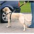 Dog Car Seat Belt and Harness   Extra Large Dogs (80 110cm)