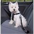 Dog Car Seat Belt and Harness   Small Dogs (30 60cm)