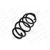 Coil Springs