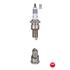 NGK Spark Plug (single)   1497