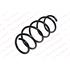 KILEN Front Coil Spring (Single unit)   20061