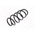 KILEN Front Coil Spring (Single unit)   20067